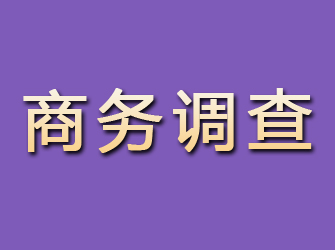 维扬商务调查